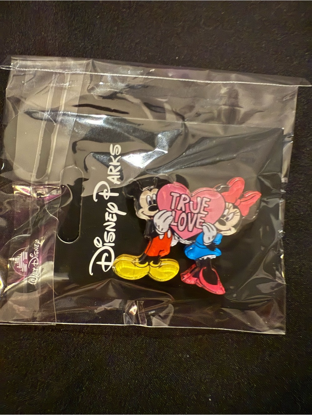 🌟Pick Any 3/$20 Sale Mickey & Minnie Pin